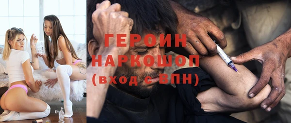 индика Беломорск