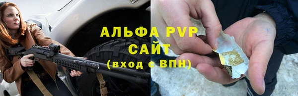 индика Беломорск