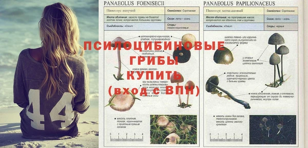 таблы Белоозёрский