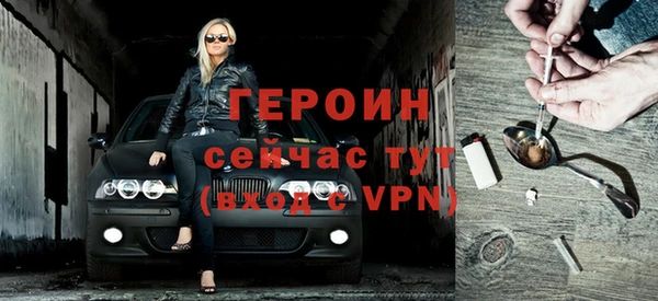 индика Беломорск
