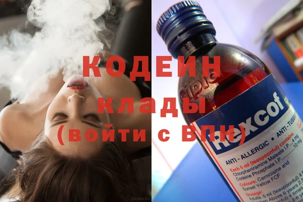 индика Беломорск