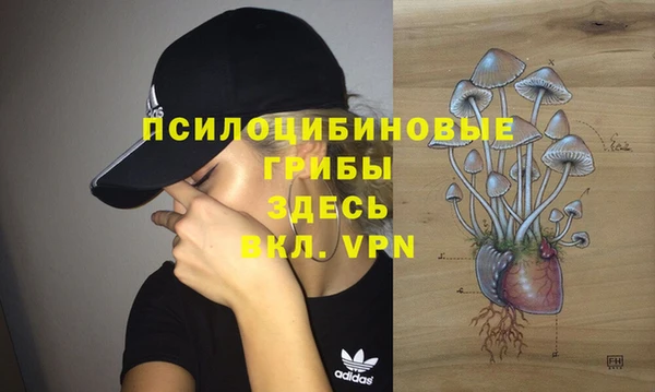 гашиш Белокуриха