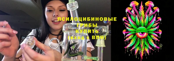 spice Богданович